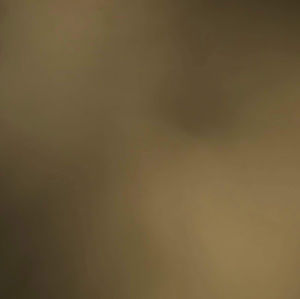 Meet your Posher, Tyson